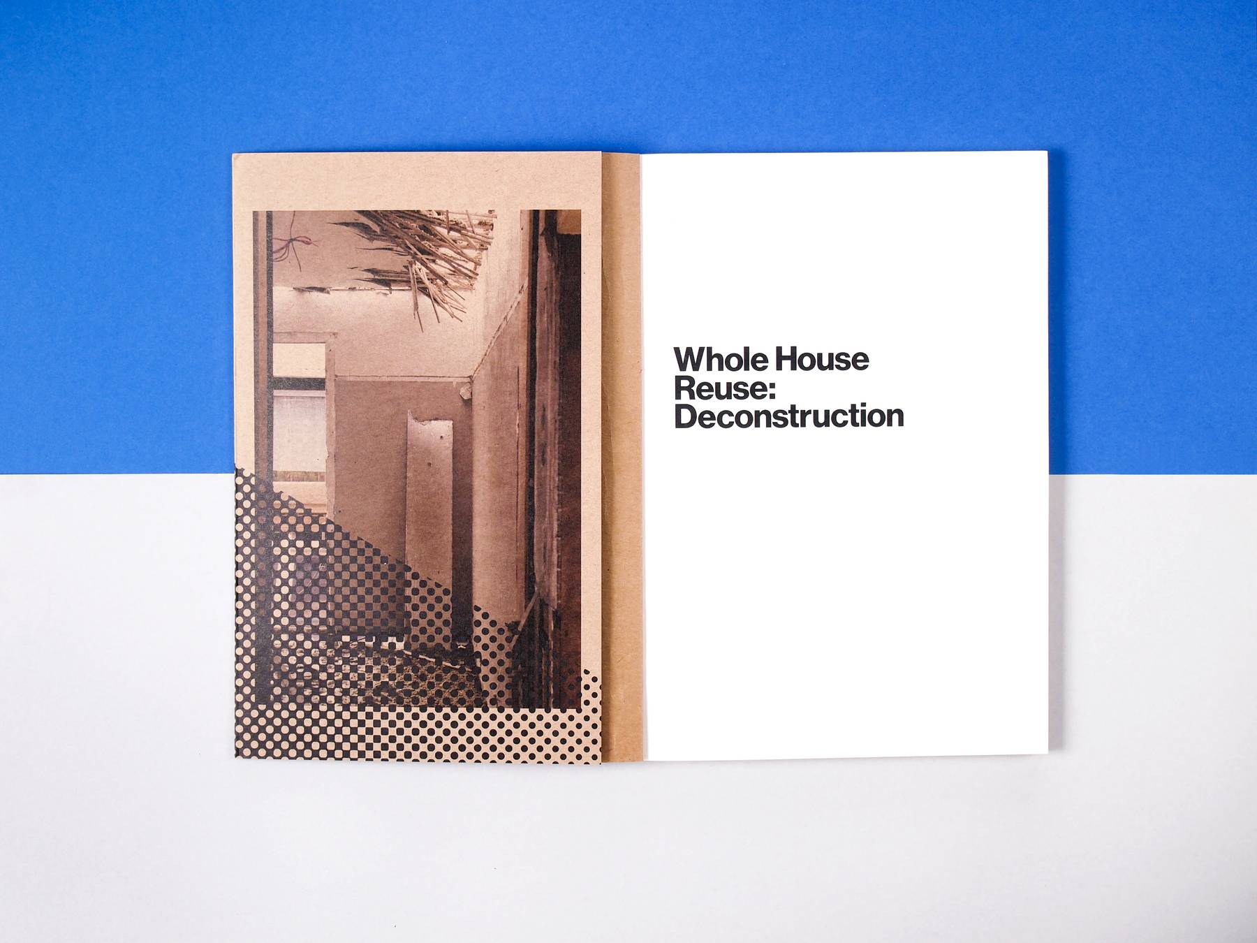 Whole House Reuse: Deconstruction image